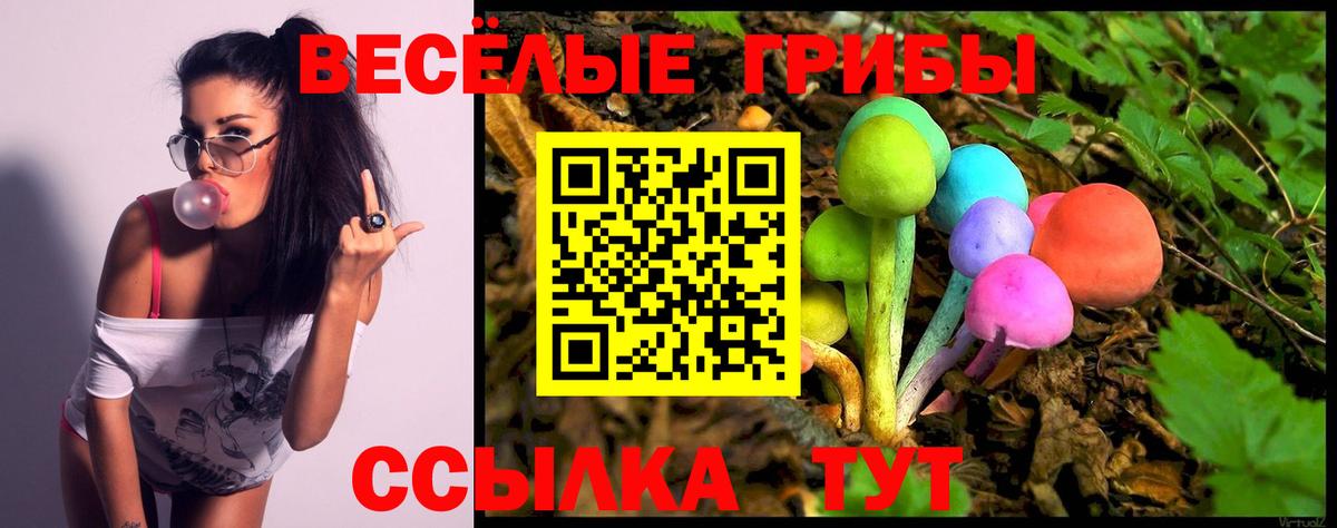 Псилоцибиновые грибы MAGIC MUSHROOMS  Галлюциногенные грибы прущие грибы  Родники  Вход с VPN 
